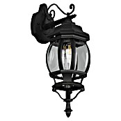 Trio Lighting Aplique exterior Elvo descendente (60 W, 24 x 18 x 49 cm, Negro, IP44, Descendente) | BAUHAUS
