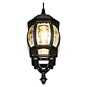 Trio Lighting Aplique exterior Elvo descendente (60 W, 24 x 18 x 49 cm, Negro, IP44, Descendente) | BAUHAUS