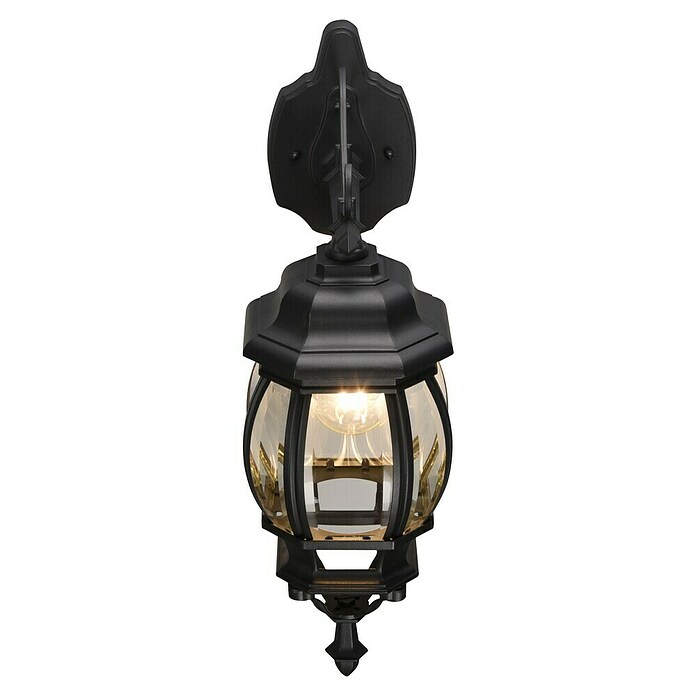 Trio Lighting Aplique exterior Elvo descendente (60 W, 24 x 18 x 49 cm, Negro, IP44, Descendente) | BAUHAUS