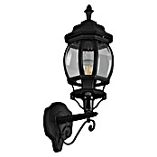 Trio Lighting Aplique exterior Elvo ascendente (60 W, Negro, IP44, Ascendente) | BAUHAUS