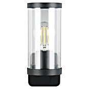 Trio Lighting Aplique exterior Bonito (28 W, 9 x 9 x 23 cm, Negro, IP44) | BAUHAUS