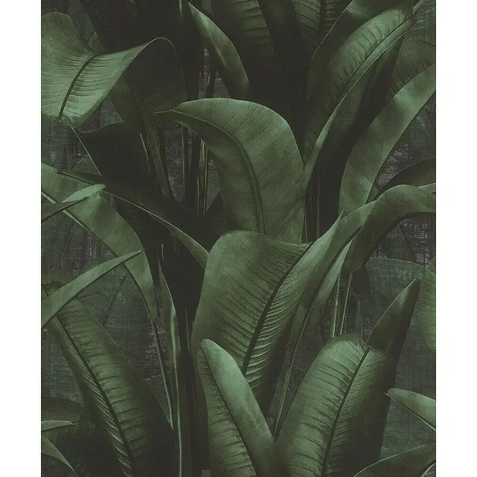 Rasch Back To Nature Vliestapete Blätter - Dunkelgrün, Floral, 10,05 x 0,53 m - Detailaufnahme einer Tapete mit dichtem Muster aus dunkelgrünen tropischen Blättern, die eine üppige und natürliche Atmosphäre erzeugt.