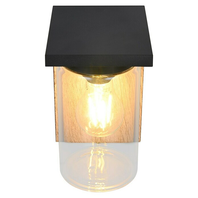 Trio Lighting Aplique exterior Ardila (40 W, Marrón, IP44) | BAUHAUS