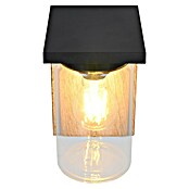 Trio Lighting Aplique exterior Ardila (40 W, Marrón, IP44) | BAUHAUS