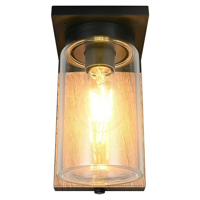 Trio Lighting Aplique exterior Ardila (40 W, Marrón, IP44) | BAUHAUS