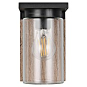 Trio Lighting Aplique exterior Ardila (40 W, Marrón, IP44) | BAUHAUS