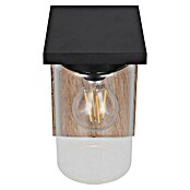 Trio Lighting Aplique exterior Ardila (40 W, Marrón, IP44) | BAUHAUS