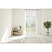 Visillo para ventana Lorenzo (An x Al: 140 x 250 cm, 100% poliéster, Gris) | BAUHAUS