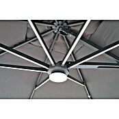Ampelschirm LED Solar (Anthrazit) | BAUHAUS