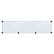 Plus Glaselement mit Beschlägen und Holzleiste (B x H: 0,6 x 44,6 cm, Klarglas, Schwarze Holzleiste) | BAUHAUS