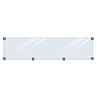 Plus Glaselement mit Beschlägen und Holzleiste (B x H: 0,6 x 44,6 cm, Klarglas, Schwarze Holzleiste)