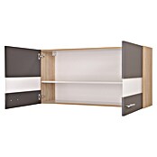 Respekta Merle Hängeschrank (B x T x H: 110 x 34,6 x 56,1 cm, Grau) | BAUHAUS