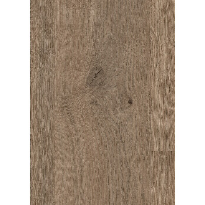 Egger Laminatmuster NatureSense (297 x 193 x 8 mm, Landhausdiele, Murom Eiche natur) | BAUHAUS