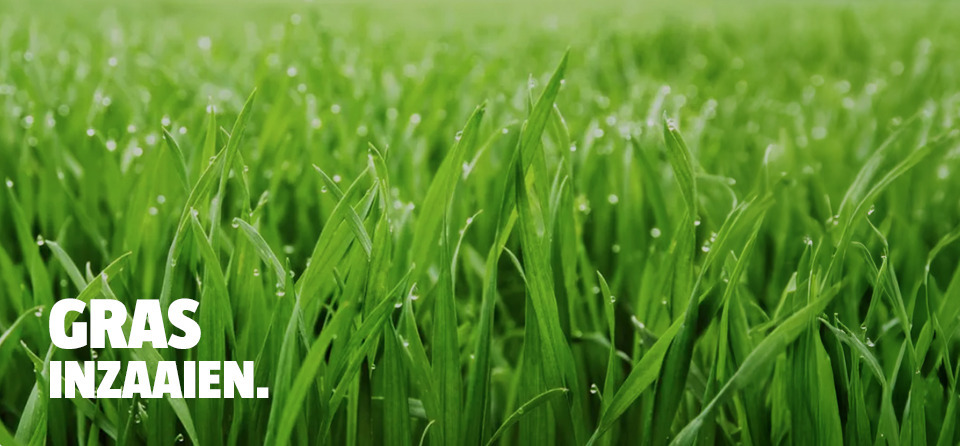 header-gras-inzaaien