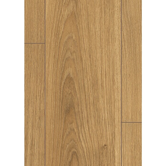 Egger Laminatmuster NatureSense (297 x 193 x 8 mm, Landhausdiele, Nord Eiche natur) | BAUHAUS