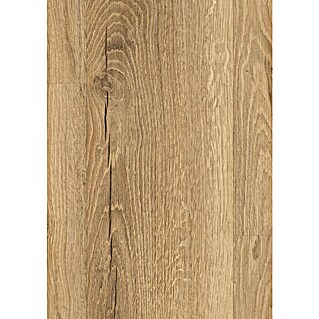 Egger Laminaat sample Livingston Natuur Eiken (297 x 193 x 8 mm, Planken)