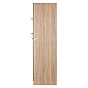 Respekta Merle Kühlumbauschrank (B x T x H: 60 x 60 x 200 cm, Schwarz) | BAUHAUS