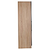 Respekta Merle Apotheker-Hochschrank (B x T x H: 30 x 60 x 200 cm, Schwarz) | BAUHAUS