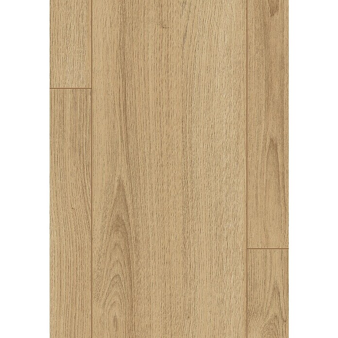 Egger Laminatmuster NatureSense (297 x 193 x 7 mm, Landhausdiele, Charlotte Eiche natur) | BAUHAUS