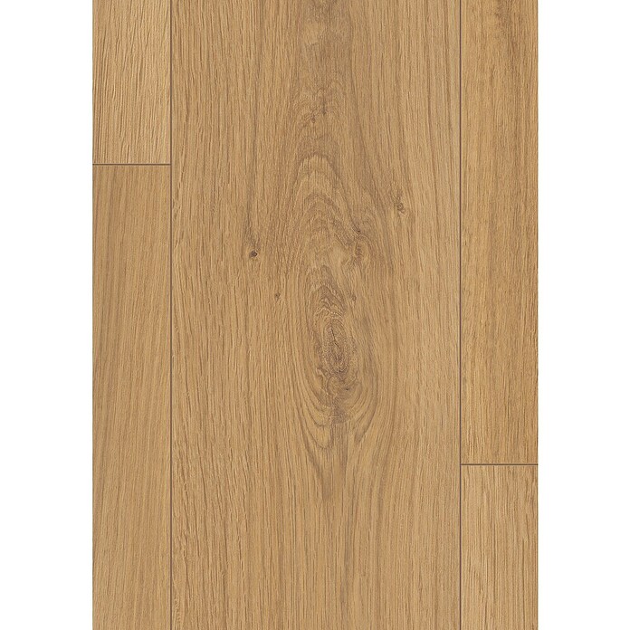 Egger Laminaat sample Dennen Honing (297 x 193 x 10 mm, Planken) | BAUHAUS