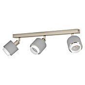 Eglo Regleta Bellizzi (7,5 W, Gris, E14) | BAUHAUS