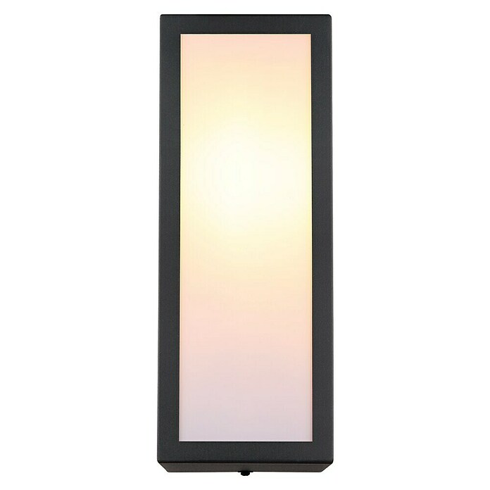 Globo Vanjska zidna LED svjetiljka Gundula  (60 W, 12 x 14 x 32 cm, Antracit, IP44) | BAUHAUS