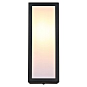 Globo Vanjska zidna LED svjetiljka Gundula  (60 W, 12 x 14 x 32 cm, Antracit, IP44) | BAUHAUS