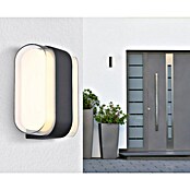 Globo LED-Außenwandleuchte Plixon (7,8 x 16 x 12,5 cm) | BAUHAUS