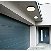 Globo Plafón para pared y techo exterior Vranos (40 W, Ø x Al: 24 x 6,5 cm, Negro, IP44) | BAUHAUS