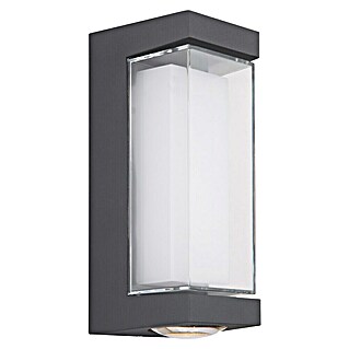 Globo Vanjska zidna LED svjetiljka Plixon (8,2 x 7,5 x 18,7 cm)
