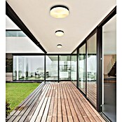 Globo Außenwand- & Deckenleuchte Vranos (60 W, Ø x H: 30 x 6,5 cm, Anthrazit, IP44) | BAUHAUS