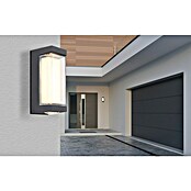 Globo LED-Außenwandleuchte Plixon (8,2 x 7,5 x 18,7 cm) | BAUHAUS