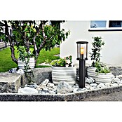 Globo Außensockelleuchte Gracey (Ohne Sensor, 60 W, IP54, Höhe: 60 cm) | BAUHAUS