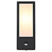 Globo Aplique exterior LED con sensor Gundula (60 W, 12 x 14 x 32 cm, Negro, Negro, IP44, Sensor de luz) | BAUHAUS