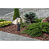 Globo Sobremuro exterior Gracey (Sin sensor, 60 W, IP54, Altura: 45 cm) | BAUHAUS