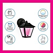WiZ Aplique para exterior LED Classic (9,5 W, Negro, IP44) | BAUHAUS