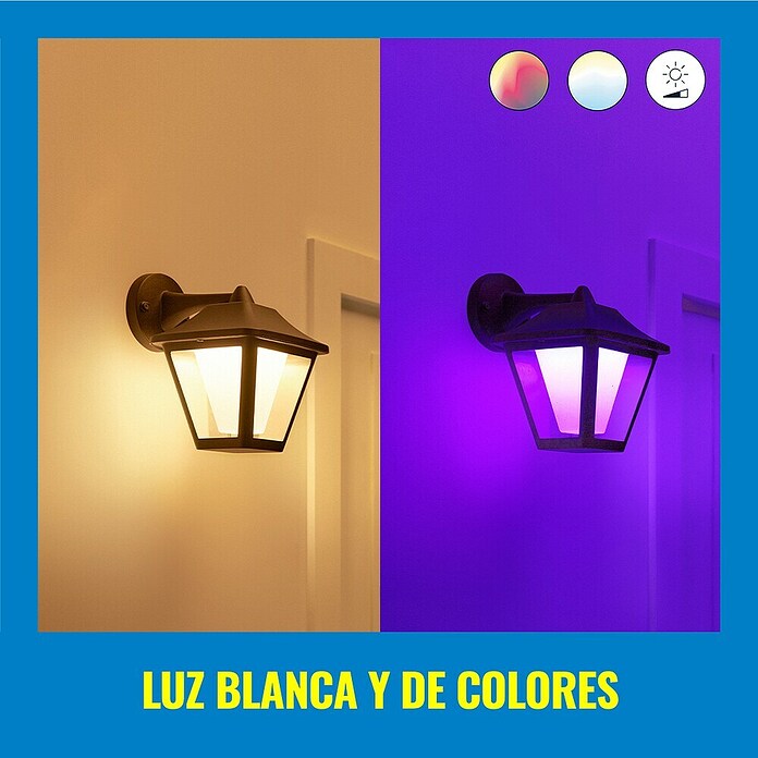 WiZ Aplique para exterior LED Classic (9,5 W, Negro, IP44) | BAUHAUS