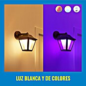 WiZ Aplique para exterior LED Classic (9,5 W, Negro, IP44) | BAUHAUS