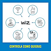 WiZ Aplique para exterior LED Classic (9,5 W, Negro, IP44) | BAUHAUS