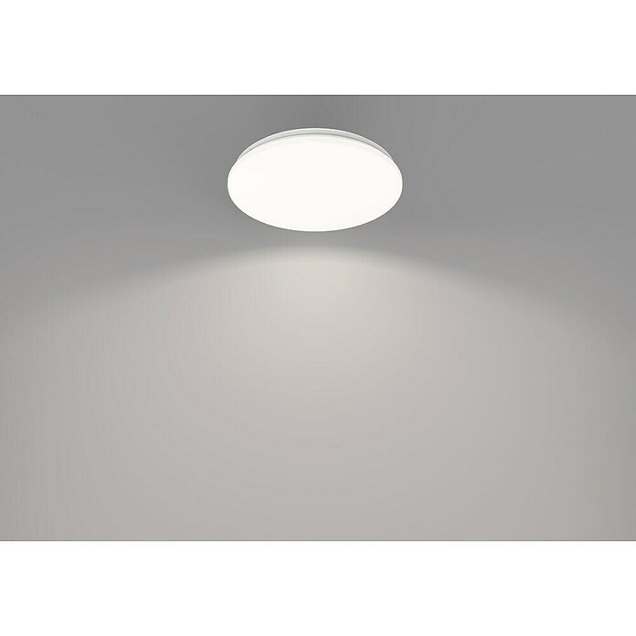 Philips Plafón LED redondo Acuna (21 W, Ø x Al: 38 x 7 cm, Blanco, Blanco neutro) | BAUHAUS