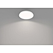Philips Plafón LED redondo Acuna (21 W, Ø x Al: 38 x 7 cm, Blanco, Blanco neutro) | BAUHAUS