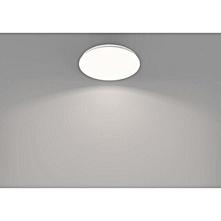 Philips Plafón LED redondo Acuna (21 W, Blanco, Blanco neutro)