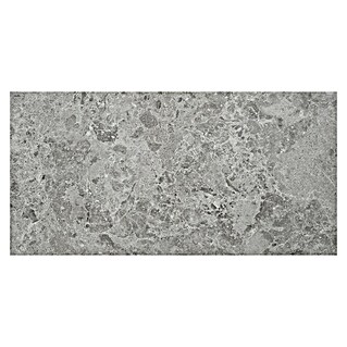 BHS Showroom Pavimento porcelánico Marais (60 x 120 cm, Gris, Mate, Rectificado)