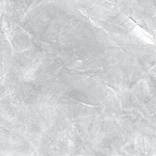 Feinsteinzeugfliese Premium Marble (80 x 80 cm, Grau, Glänzend)