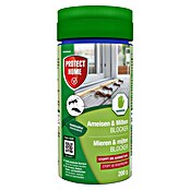 Protect Home Mierenmiddel (200 g) | BAUHAUS