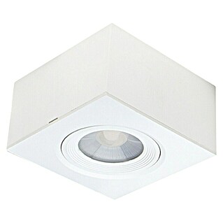 Alverlamp Foco LED basculante (7 W, L x An x Al: 9 x 9 x 5 cm, Blanco)