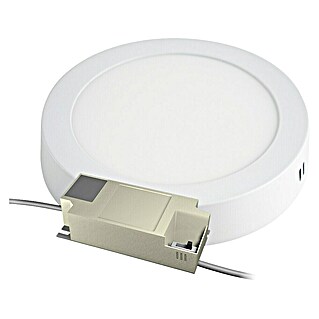 Alverlamp Downlight LED empotrable (12 W, L x An x Al: 17 x 17 x 3,2 cm, Blanco cálido, Blanco)