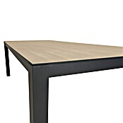 Sunfun Vrtni stol Malmo  (D x Š x V: 210 x 90 x 74 cm, Crna, smeđa) | BAUHAUS