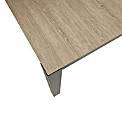 Sunfun Vrtni stol Malmo  (D x Š x V: 210 x 90 x 74 cm, Crna, smeđa) | BAUHAUS
