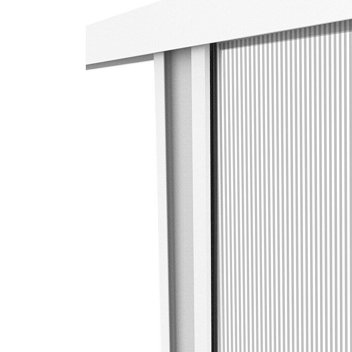 Windhager Insektenschutz-Türplissee Plus (B x H: 110 x 220 cm, Weiß) | BAUHAUS